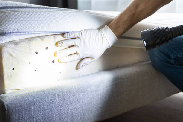 Best Pest Removal Services  in Shorewood, WI